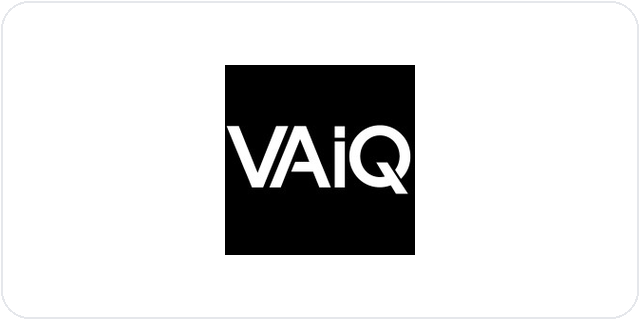 VAIQ Logo