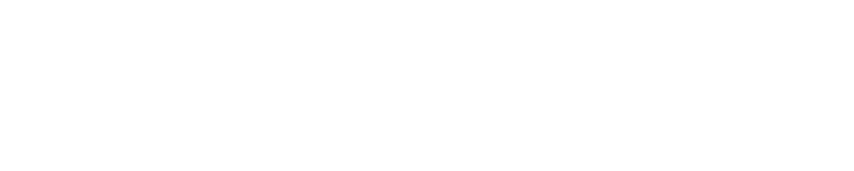 SV Gruppe
